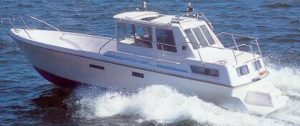 Bella Delphin 800 1