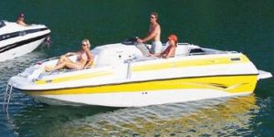 Crownline 212 DB 239 DB 1